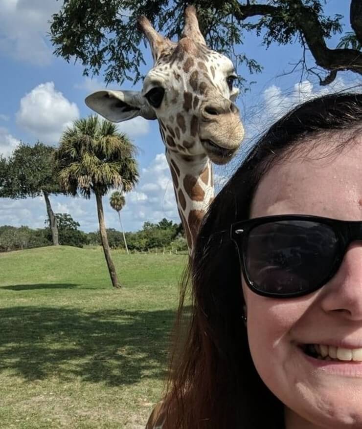 20 imagens de animais que vão ajudar a acabar com aquele mau humor Imagens de animais engraçados da Internet