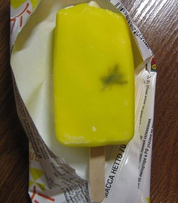 Fotos bizarras que mostram o pior dia de algumas pessoas