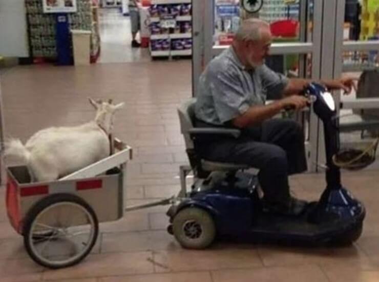 20 clientes sem noção que você pode encontrar na hora das compras Clientes sem noção vistos em supermercados