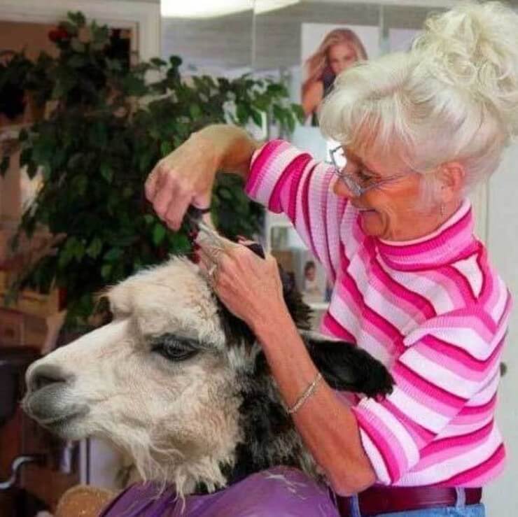 Alguns pessoas estranhas em situações erradas que vão fazer você morrer de rir