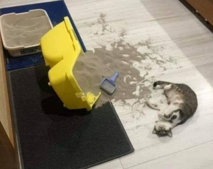 Pessoas que sabem a verdadeira definição de um péssimo dia