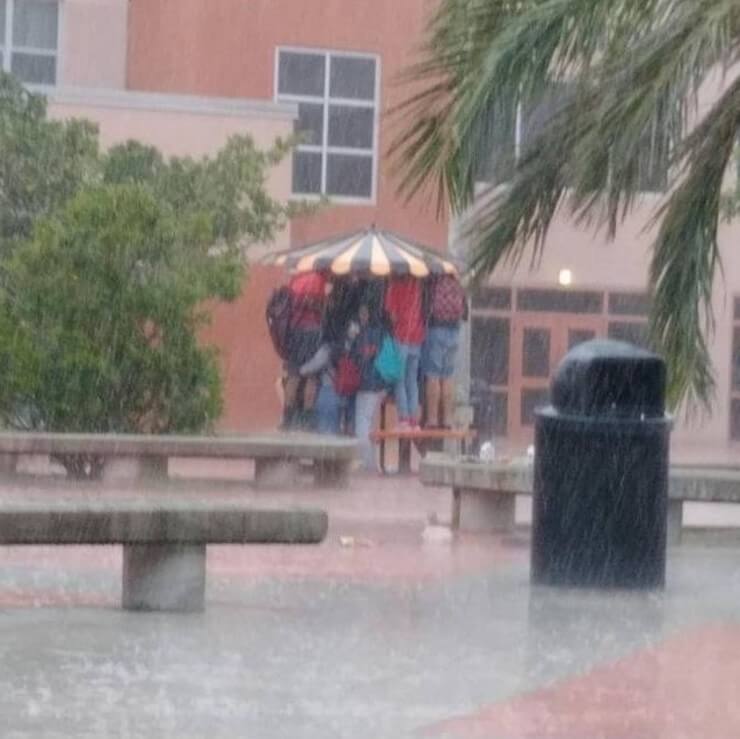 Pessoas que acordaram com o pé esquerdo e tiveram o pior dia da vida