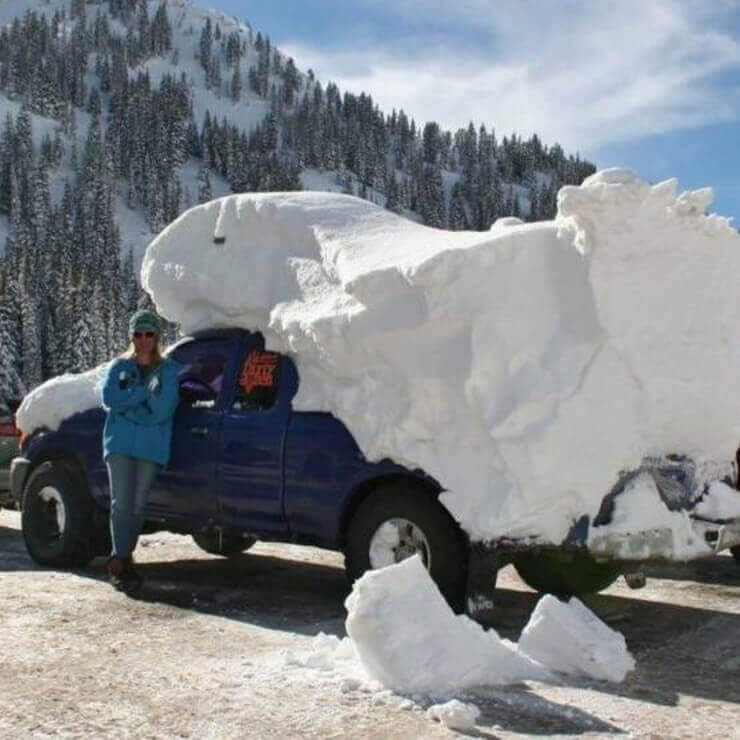 Fotos que você não precisa tentar entender para não enlouquecer