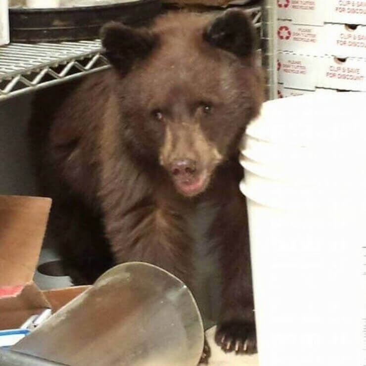 20 imagens engraçadas da internet que não fazem um pingo de sentido Fotos esquisitas da internet que vão deixar você cheio de dúvidas