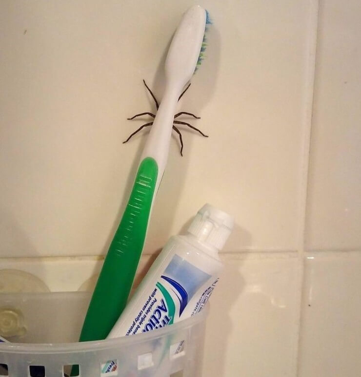 Imagens que mostram que você pode ser uma pessoa muito azarada