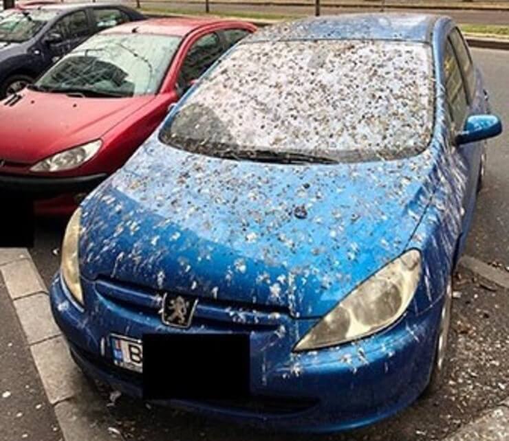 Imagens que mostram que você pode ser uma pessoa muito azarada