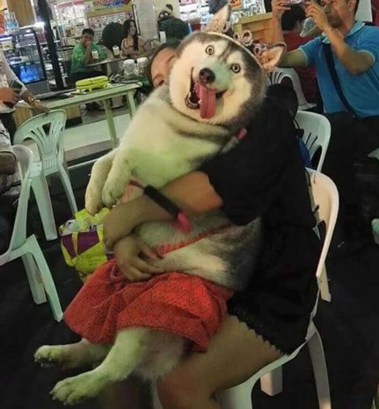 Mulheres divertidas da internet que sabem fazer qualquer um dar risada