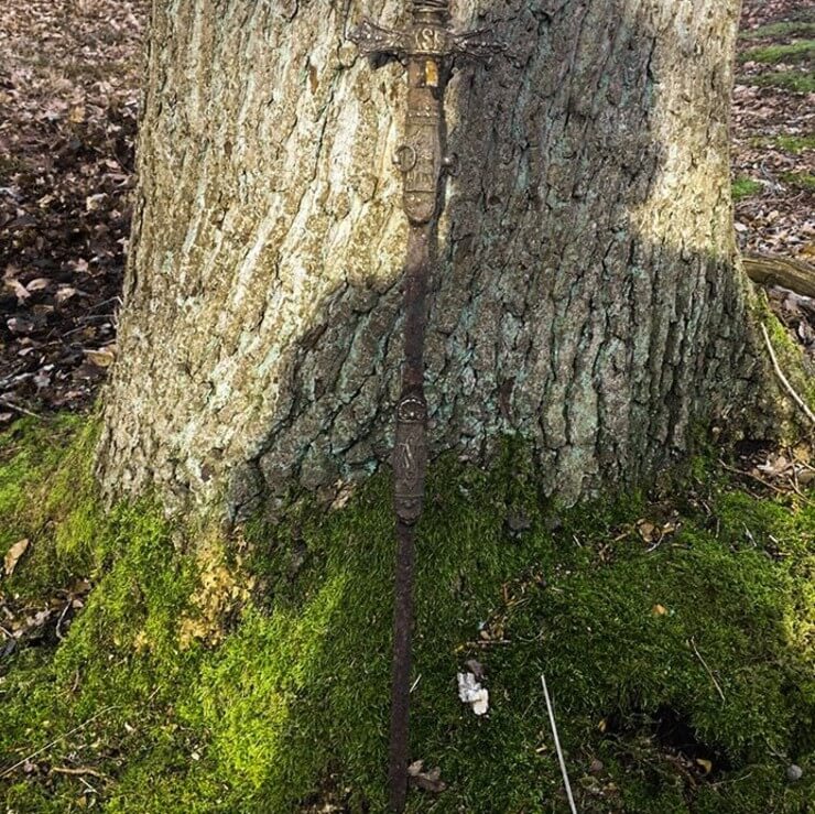 Coisas bizarras encontradas na floresta que ninguém vai acreditar