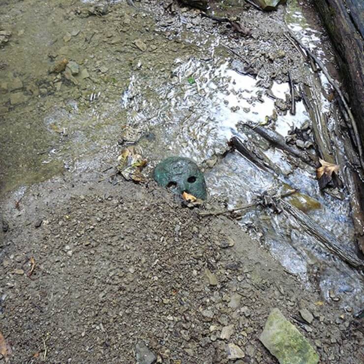 Coisas bizarras encontradas na floresta que ninguém vai acreditar