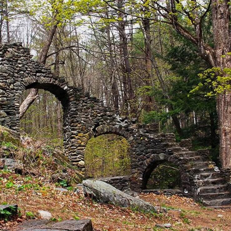 Coisas bizarras encontradas na floresta que ninguém vai acreditar