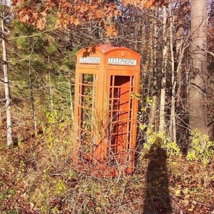 Coisas bizarras encontradas na floresta que ninguém vai acreditar