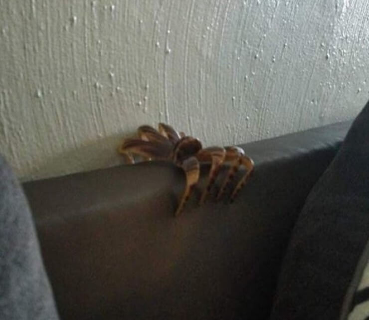 Ilusões de ótica assustadoras