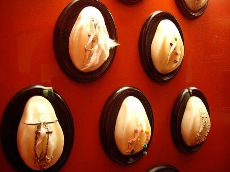 Museus exóticos que realmente existem na vida real