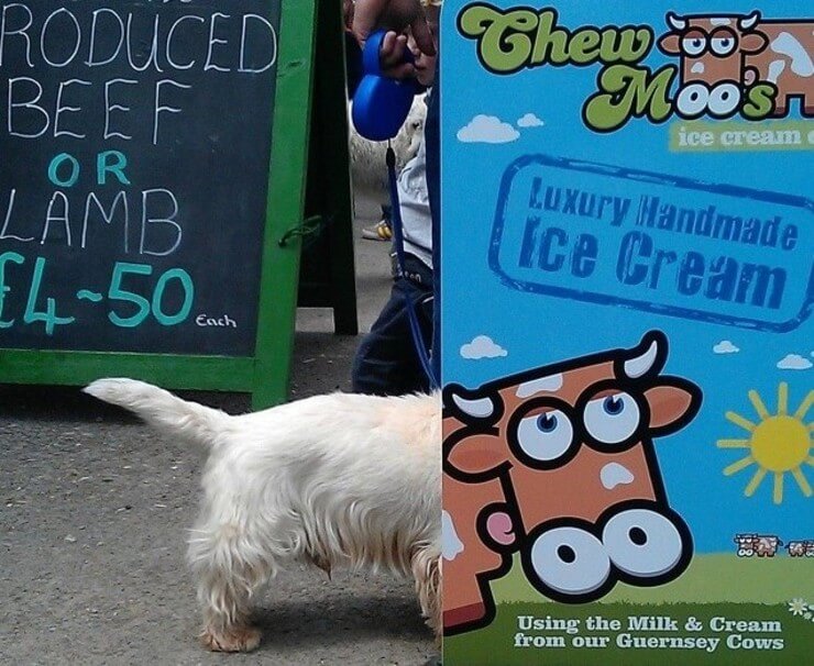 Coincidências estranhas da internet