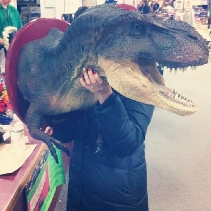 Coisas bizarras encontradas em brechós vendidas na internet