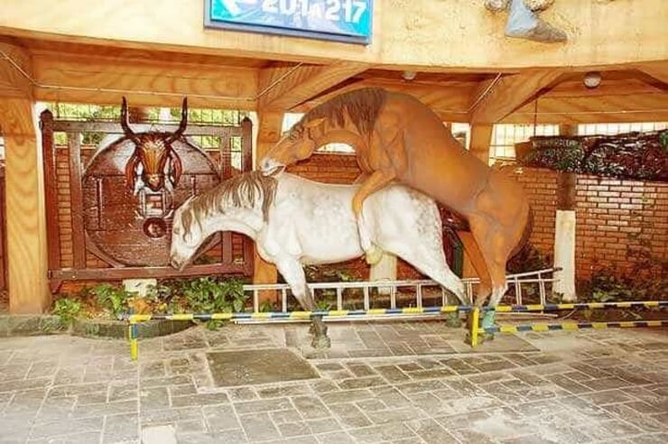 Motéis bizarros do Brasil para você realizar sua fantasia sexual