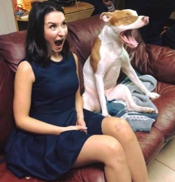 20 imagens embaraçosas registradas por algumas câmeras de segurança Imagens embaraçosas capturadas por câmeras de segurança