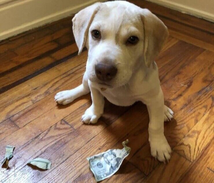 20 falhas épicas engraçadas que também podem acontecer com você Falhas épicas engraçadas da Internet