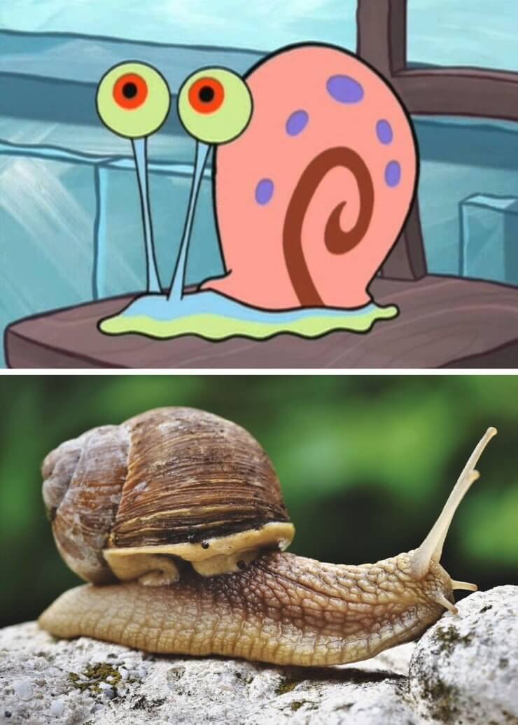 Versões da vida real dos personagens de animação