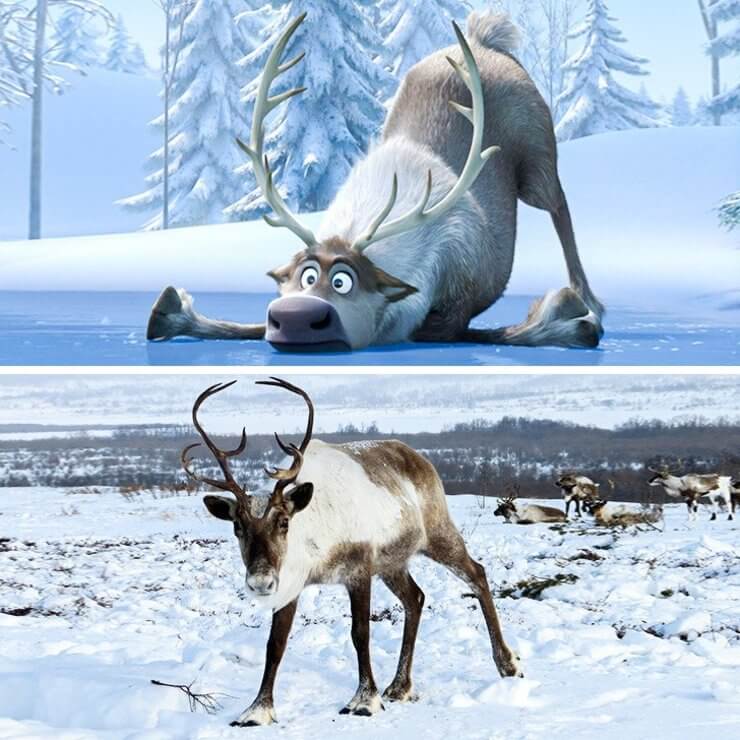 Versões da vida real dos personagens de animação