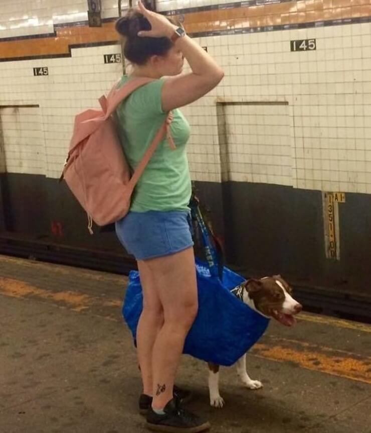 20 provas de que andar de metrô é muito mais do que divertido A prova de que andar de metrô é divertido