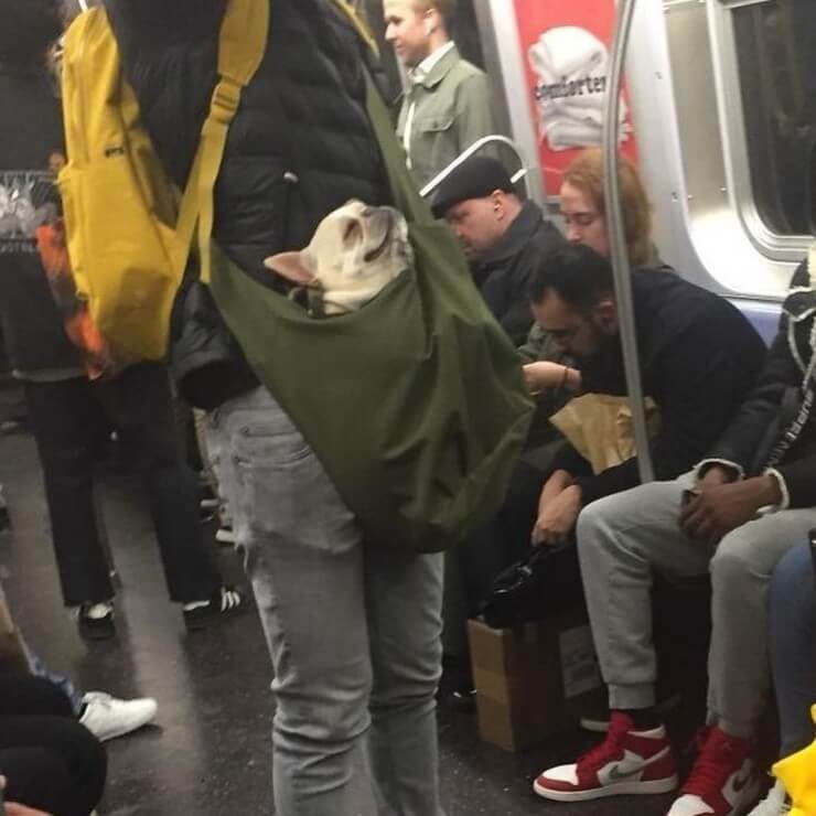 A prova de que andar de metrô é divertido