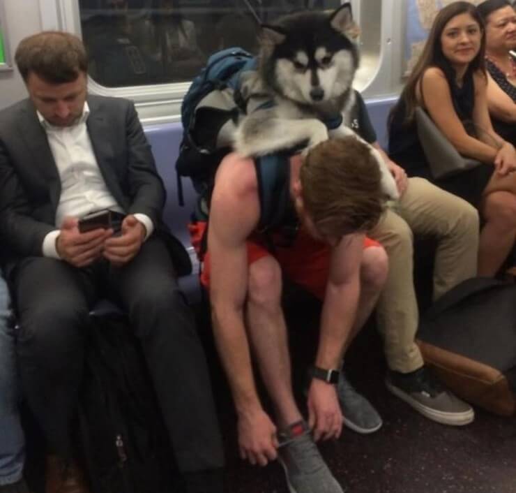 20 provas de que andar de metrô é muito mais do que divertido A prova de que andar de metrô é divertido