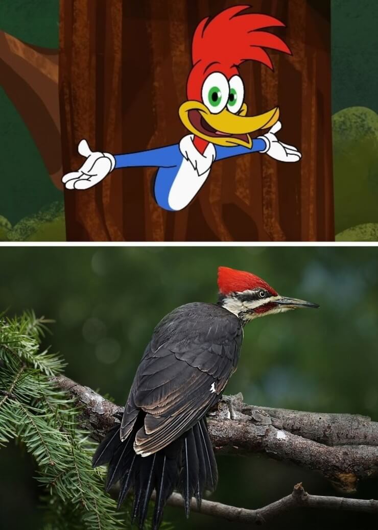 Versões da vida real dos personagens de animação