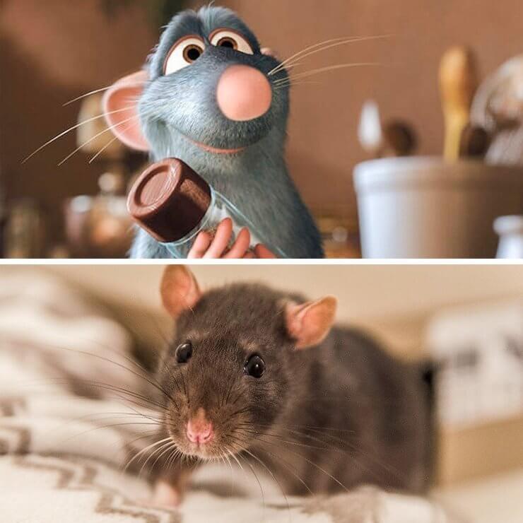 Versões da vida real dos personagens de animação