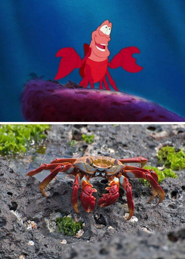 Versões da vida real dos personagens de animação