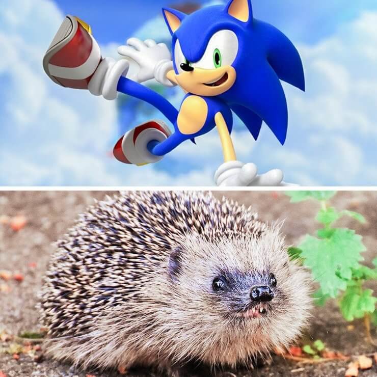 Versões da vida real dos personagens de animação