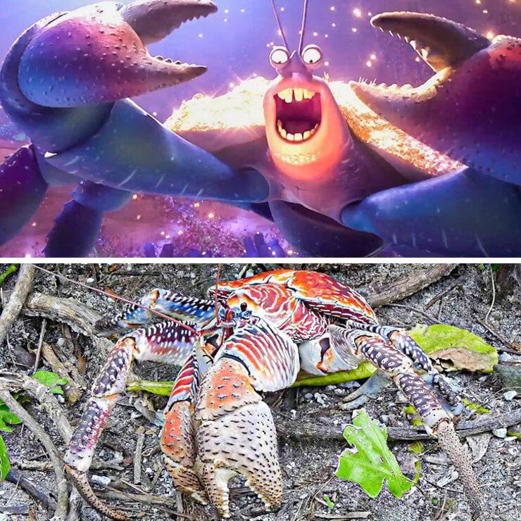 Versões da vida real dos personagens de animação