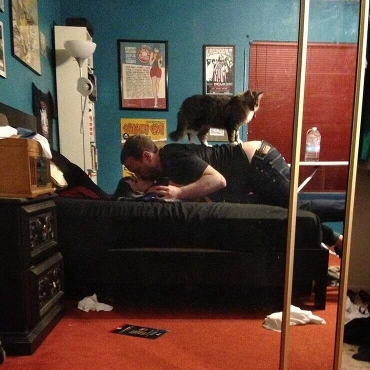 Imagens idiotas da internet