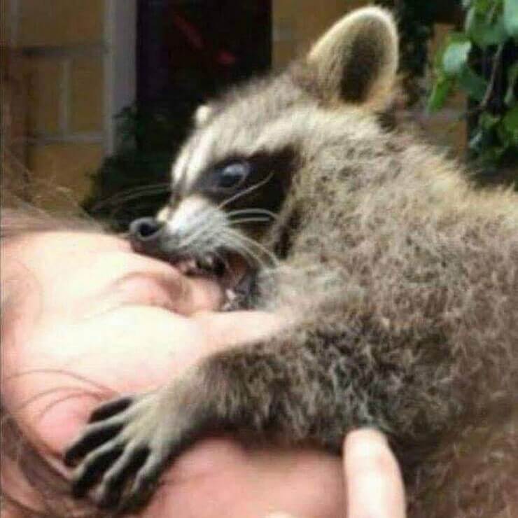 20 falhas épicas insanas que também podem acontecer com você Falhas épicas insanas sem noção da Internet