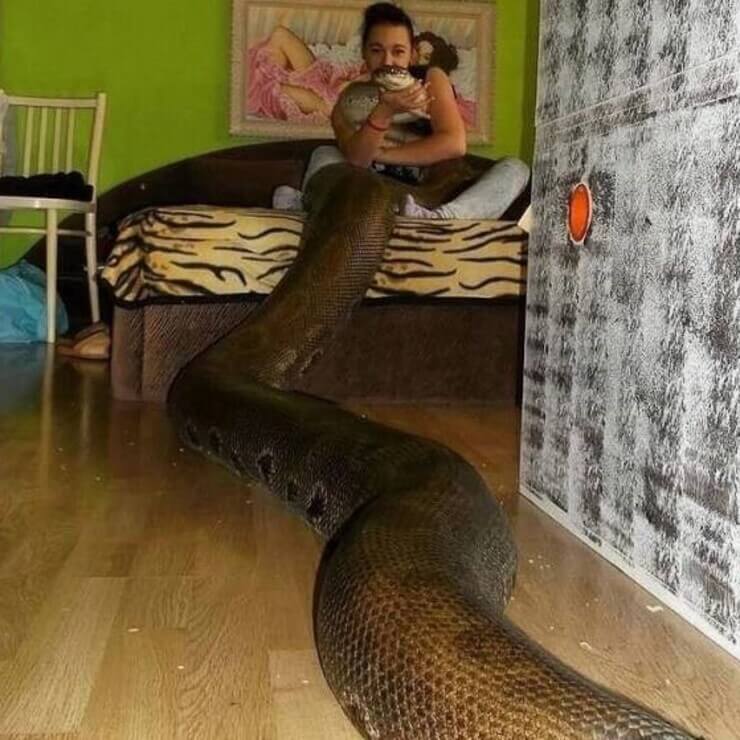 20 fotos indiferentes da internet para entreter a sua semana Fotos indiferentes da internet para morrer de rir