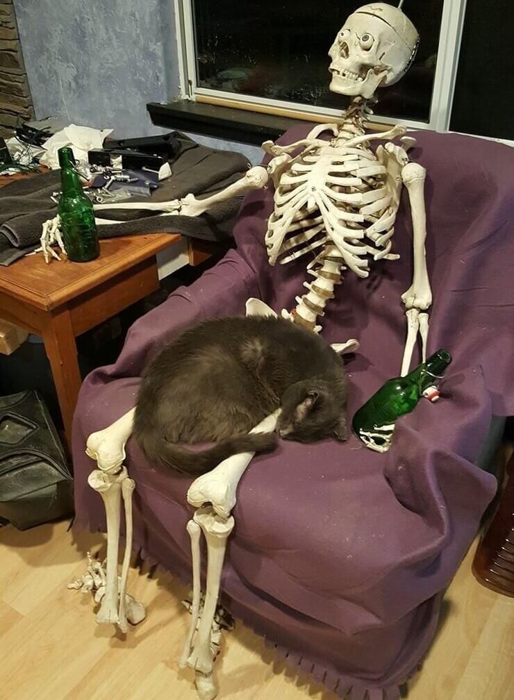 20 fotos indiferentes da internet para entreter a sua semana Fotos indiferentes da internet para morrer de rir