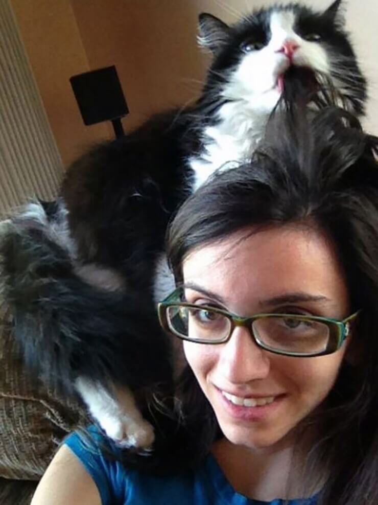 Animais sapecas da internet