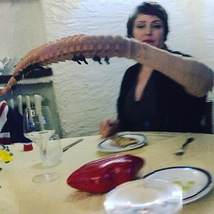 Fotos no estilo panorâmico bizarras
