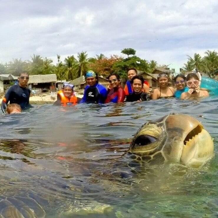 20 intrusos aloprados que deram mais graça a selfies alheias Intrusos aloprados em selfies alheias