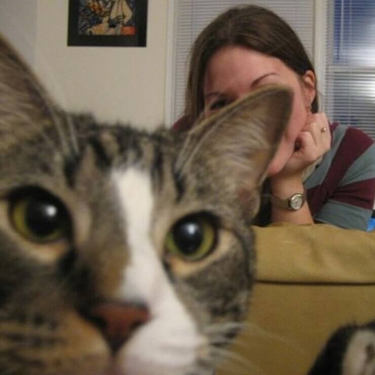 20 intrusos aloprados que deram mais graça a selfies alheias Intrusos aloprados em selfies alheias