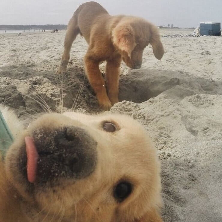 20 intrusos aloprados que deram mais graça a selfies alheias Intrusos aloprados em selfies alheias