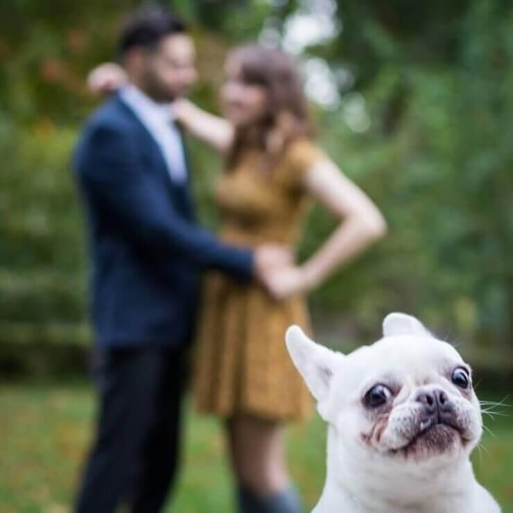 20 intrusos aloprados que deram mais graça a selfies alheias Intrusos aloprados em selfies alheias