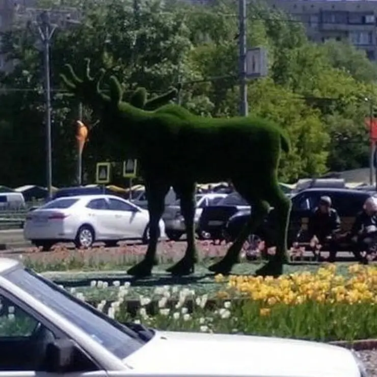 20 provas de que a Rússia se tornou o Brasil irado da Europa Coisas inusitadas que só acontecem na Rússia