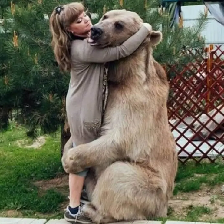 20 provas de que a Rússia se tornou o Brasil irado da Europa Coisas inusitadas que só acontecem na Rússia